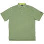 FJ Lisle Multi Stripe w/ Self Collar - Green Apple + Midnight Blue/White